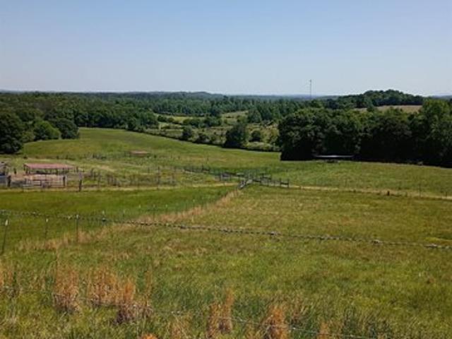 Farm for sale in Talladega, Talladega County