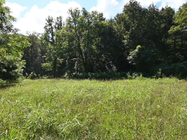 Land for sale in Tennessee