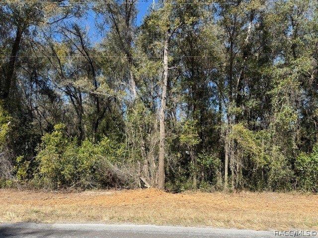 Land for sale in Hernando, Florida