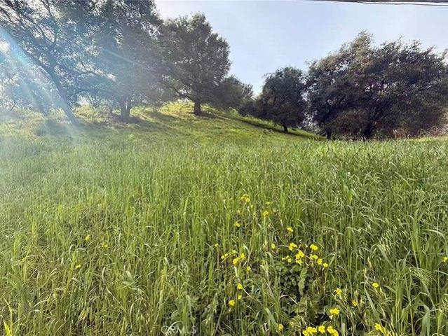 Land for sale in Studio City Neighborhood Council District, Canoga Park