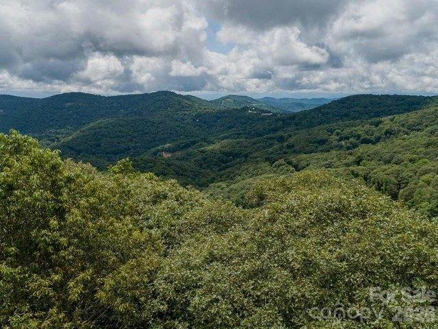 Land for sale in Mars Hill, North Carolina