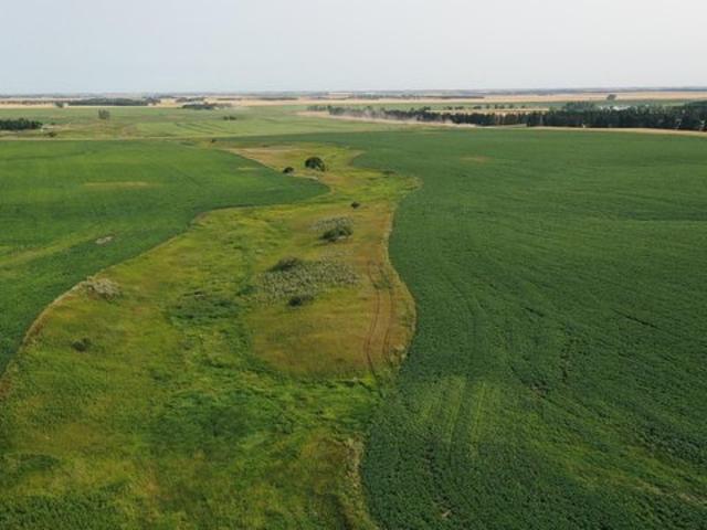 Land for sale in Kenmare, North Dakota