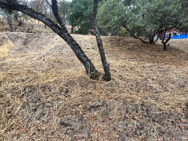 Land for sale in Lake, California