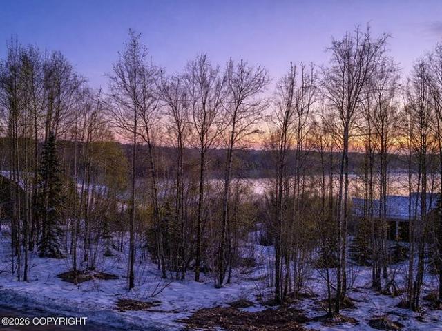 Land for sale in Wasilla