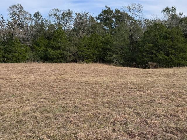 Land for sale in Leon, Texas