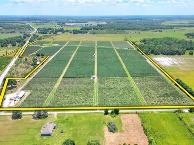 Land for sale in Zolfo Springs, Florida