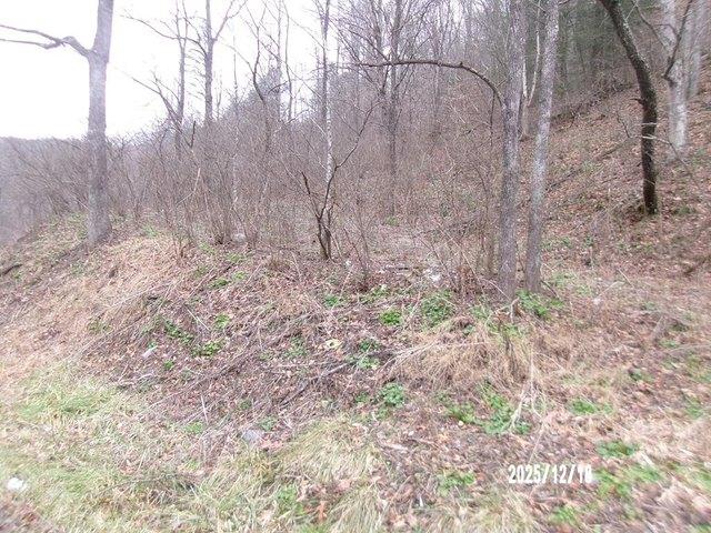 Land for sale in Anawalt, West Virginia