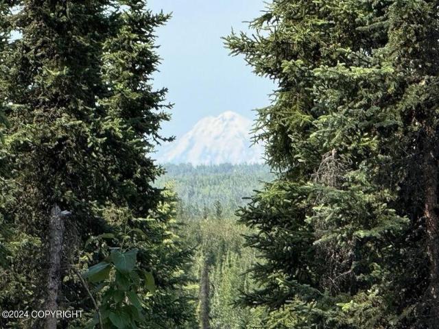 Land for sale in Soldotna
