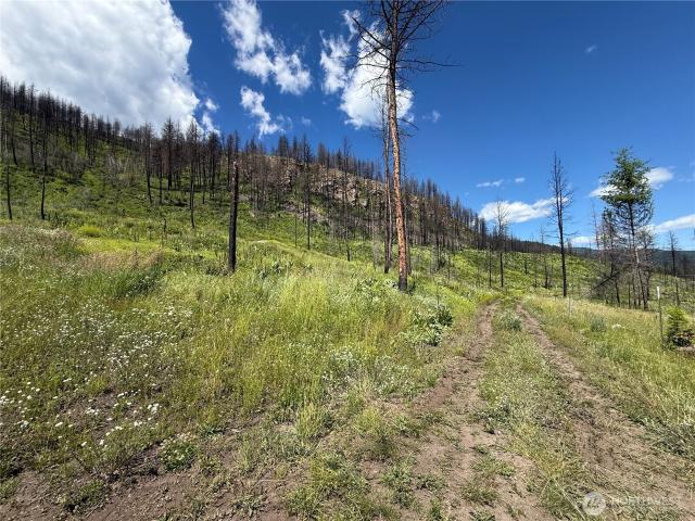 Land for sale in Danville, Washington