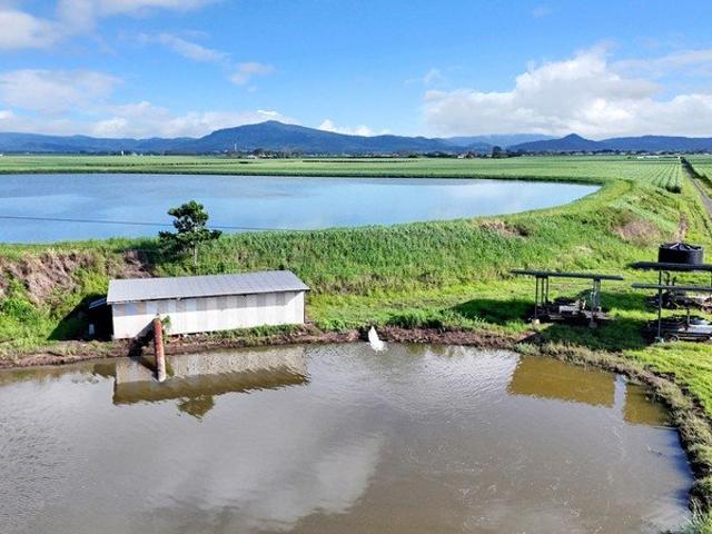 Cottage for sale in Marian, Queensland