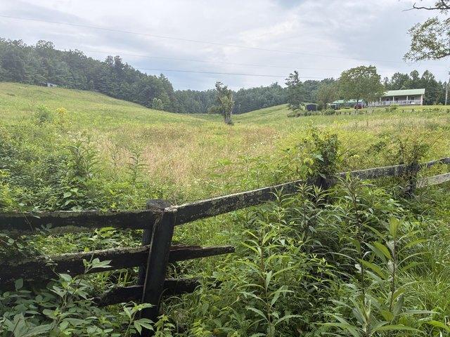 Land for sale in Wolfe, Kentucky