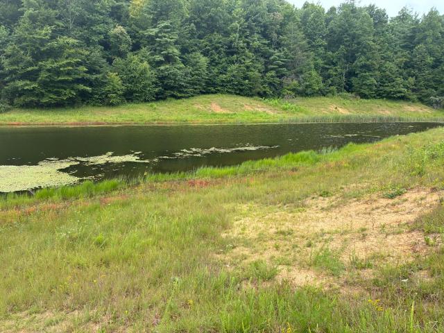 Land for sale in Wolfe, Kentucky