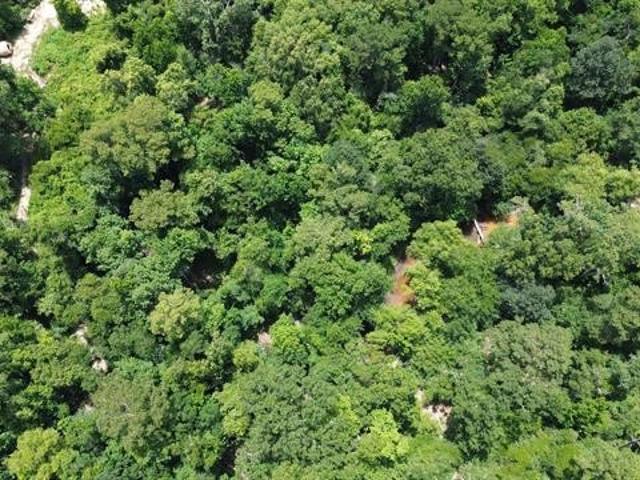 Land for sale in Buckhorn, Bon Wier