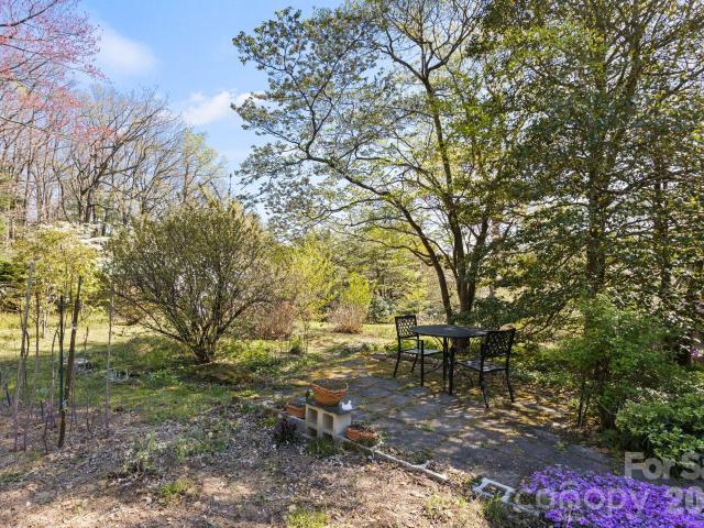 House for sale in Saluda, North Carolina