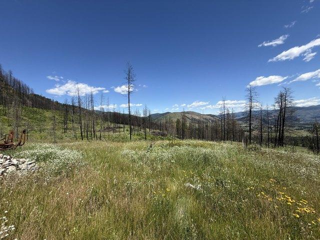 Land for sale in Washington