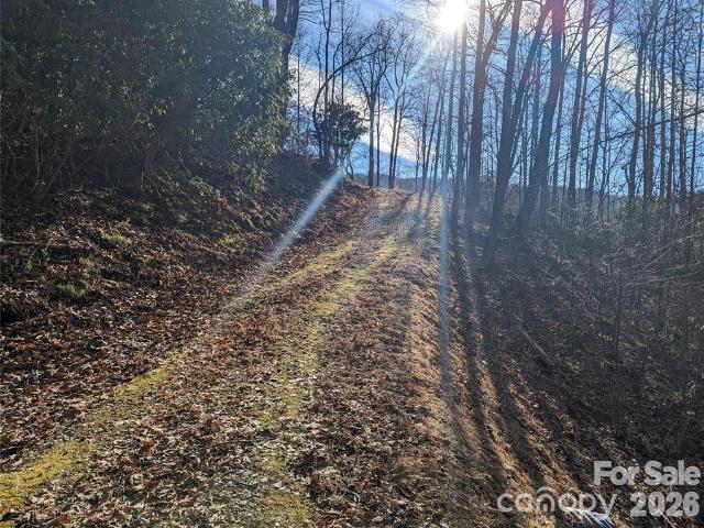 Land for sale in Black Mountain, North Carolina