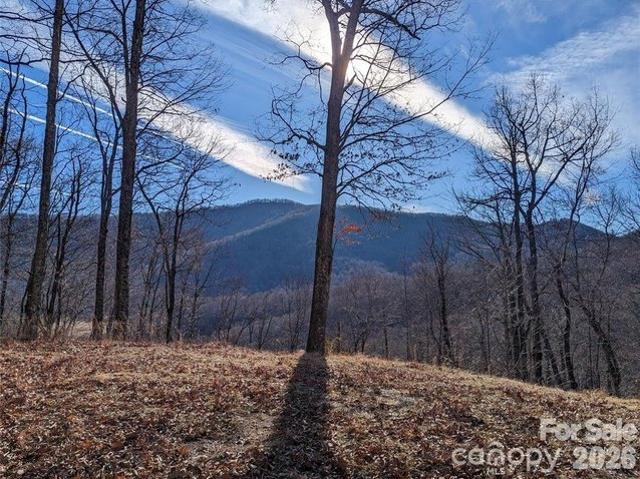 Land for sale in Black Mountain, North Carolina