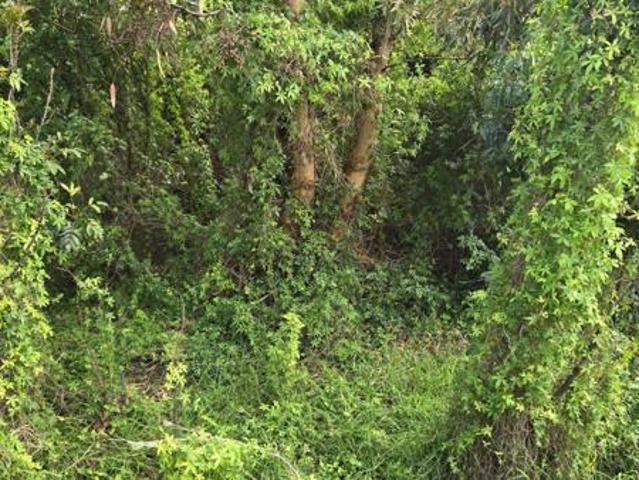 Land for sale in Cape Town, Western Cape