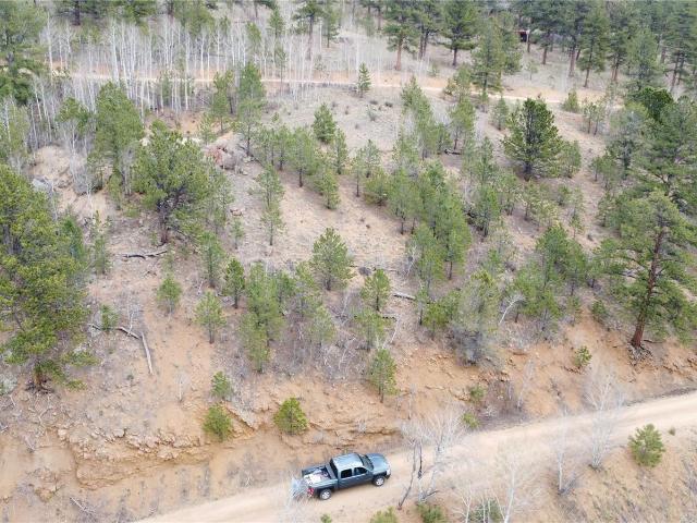 Land for sale in Bailey, Colorado