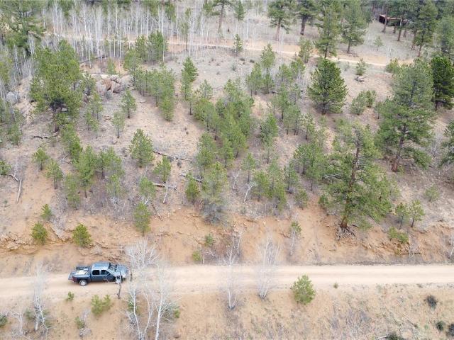 Land for sale in Bailey, Colorado