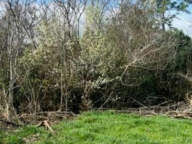 Land for sale in Unadilla, Georgia