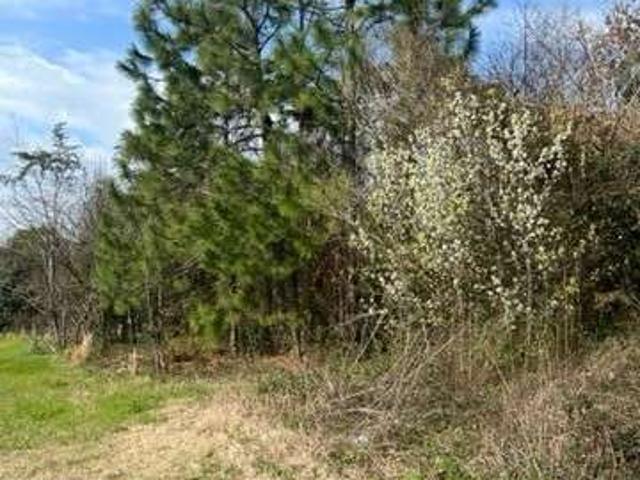Land for sale in Unadilla, Georgia