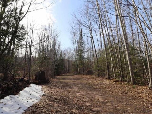 Land for sale in Bayfield, Wisconsin