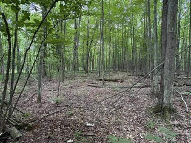 Land for sale in Beaverton, Michigan