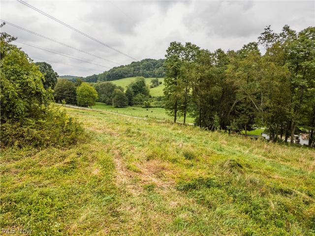 Land for sale in Dresden, Ohio