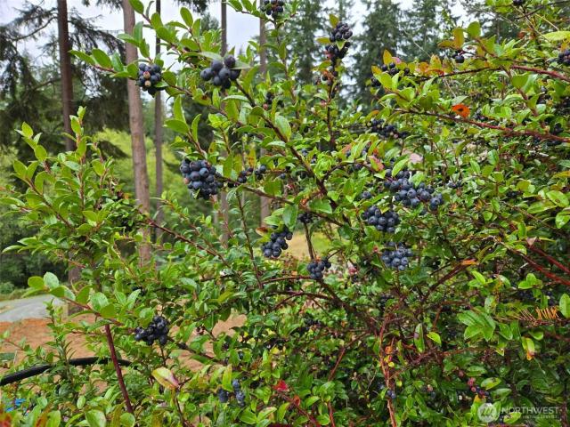 Land for sale in Washington
