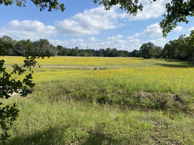 Farm for sale in Carmine, Texas