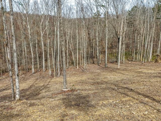 Land for sale in Laurel, Kentucky