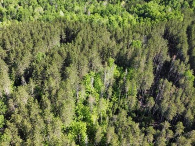 House for sale in Bryson, Quebec