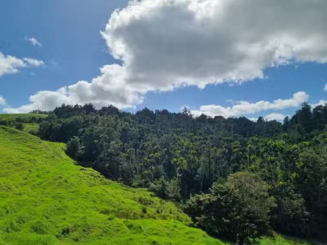 House for sale in Northland