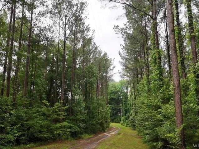 House for sale in Dale, Alabama