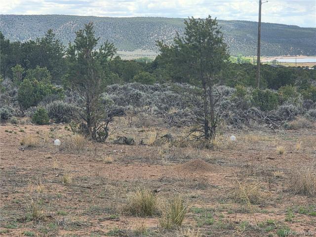 Land for sale in Fort Garland, Colorado