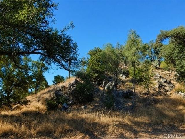 Land for sale in Lake, California