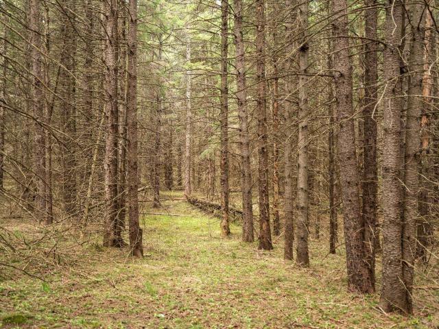 Land for sale in Michigan