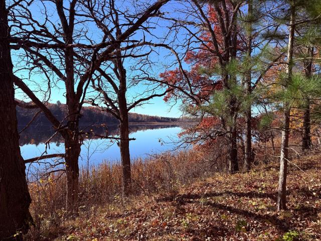 Land for sale in Richardson Township, Morrison County