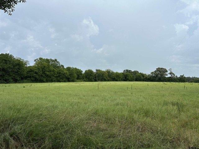 Land for sale in Frankston, Texas