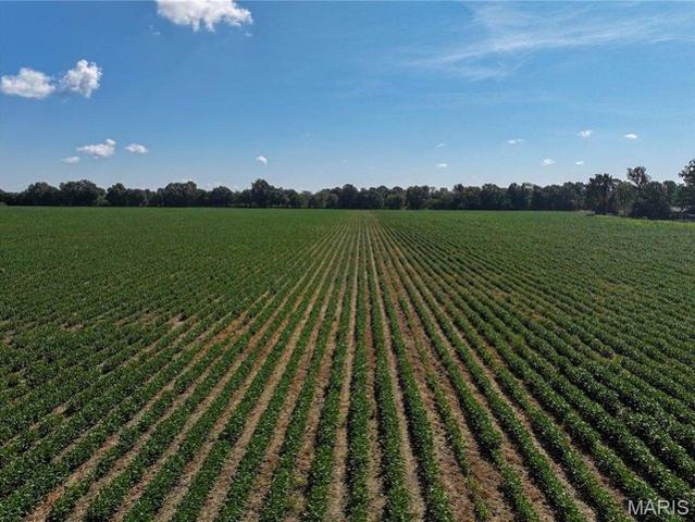 Farm for sale in Campbell, Missouri