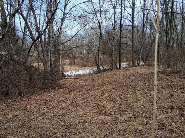Land for sale in Virginia