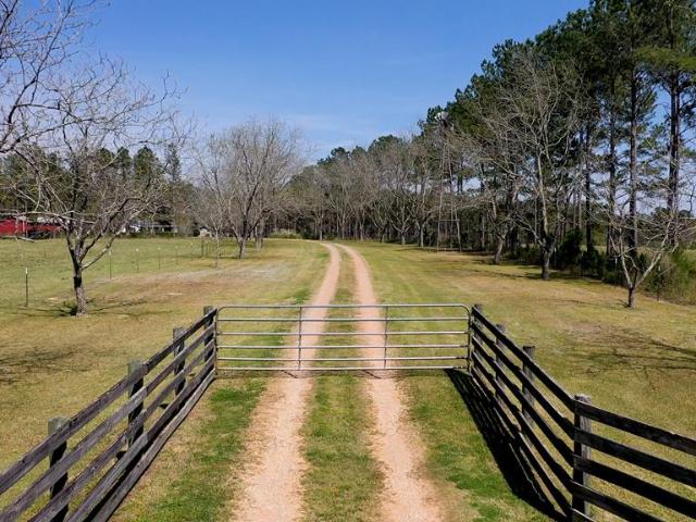 Land for sale in Clayton, Alabama