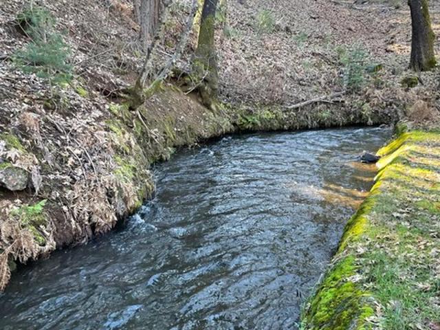 Land for sale in Avery, California