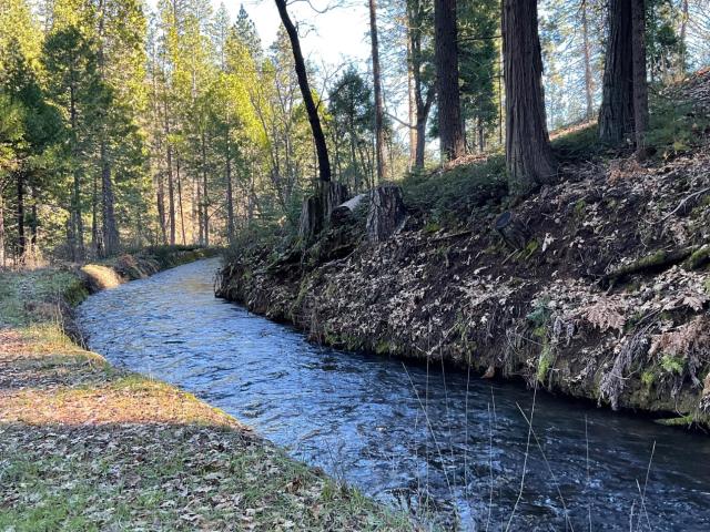 Land for sale in Avery, California