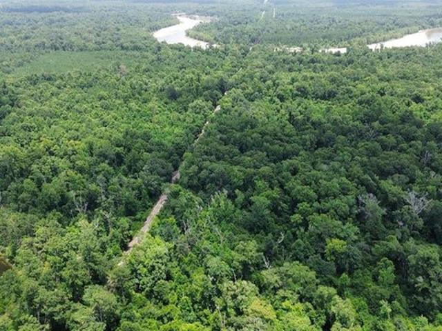 Land for sale in Newton, Texas