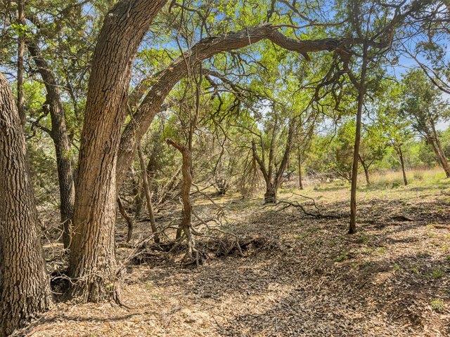 Land for sale in Blanco, Texas