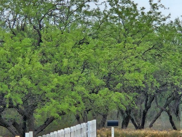 Land for sale in Camp Verde, Arizona