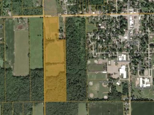 Land for sale in Mayville, Tuscola County