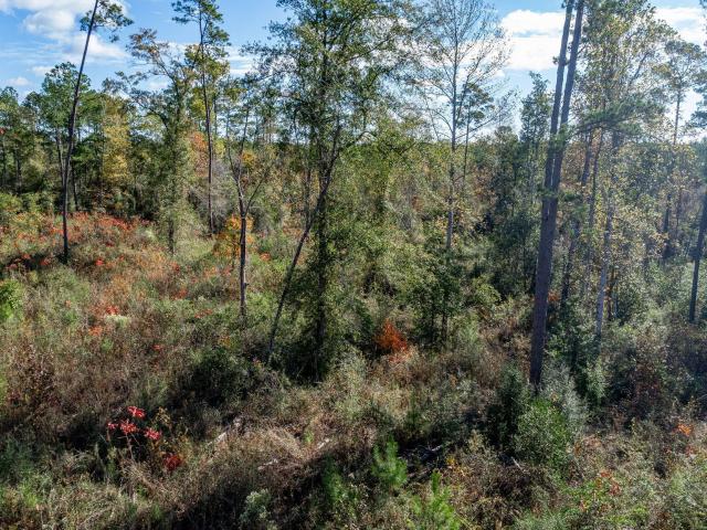 Land for sale in Sumrall, Lamar County